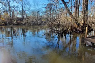 147 Brannen Landing Rd, Midville, GA 30441 - Photo 10