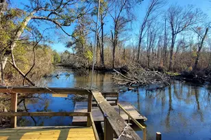 147 Brannen Landing Rd, Midville, GA 30441 - Photo 18