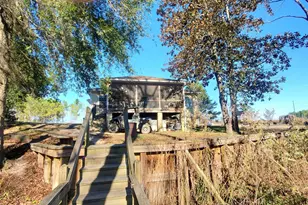 147 Brannen Landing Rd, Midville, GA 30441 - Photo 2