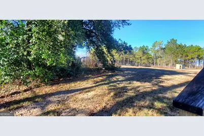 147 Brannen Landing Road, Midville, GA 30441 - Photo 28