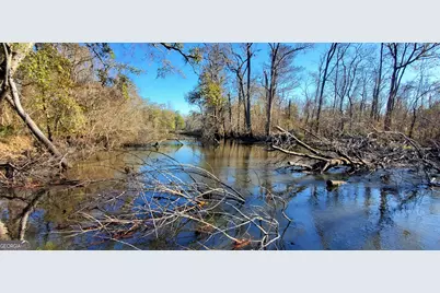 147 Brannen Landing Road, Midville, GA 30441 - Photo 12