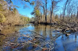 147 Brannen Landing Rd, Midville, GA 30441 - Photo 12