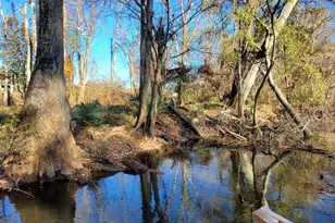 147 Brannen Landing Rd, Midville, GA 30441 - Photo 6