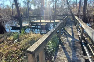 147 Brannen Landing Rd, Midville, GA 30441 - Photo 22