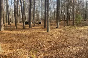 3353 Galts Rd, Acworth, GA 30102 - Photo 4