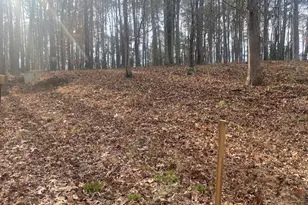 3353 Galts Rd, Acworth, GA 30102 - Photo 6