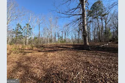 5164 Dudley Hill Road, Gainesville, GA 30506 - Photo 4
