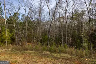 153 Jackson Dr, Forsyth, GA 31029 - Photo 32