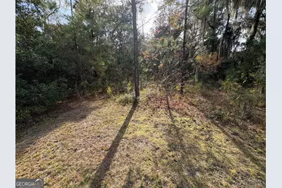 11817 Ga Highway 99, Darien, GA 31305 - Photo 14