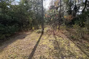 11817 Ga Hwy 99, Darien, GA 31305 - Photo 14