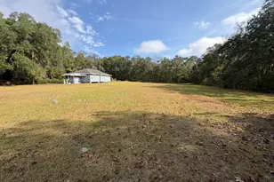 11817 Ga Hwy 99, Darien, GA 31305 - Photo 4