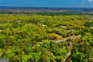 11817 Ga Hwy 99, Darien, GA 31305 - Photo 50