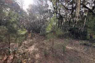 11817 Ga Hwy 99, Darien, GA 31305 - Photo 18