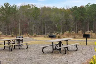 265 Sound Cir, Stockbridge, GA 30281 - Photo 30