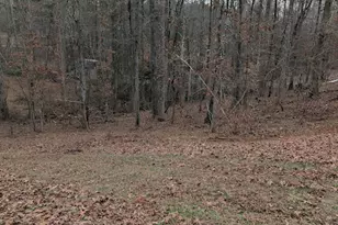 165 W Hulett Ln, Carrollton, GA 30116 - Photo 20