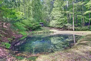 228 Flat Rock Valley Rd, Blairsville, GA 30512 - Photo 22