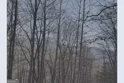 228 Flat Rock Valley Road, Blairsville, GA 30512 - Photo 28