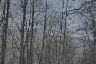 228 Flat Rock Valley Rd, Blairsville, GA 30512 - Photo 28