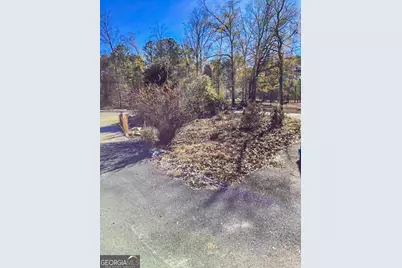 262 Nelms Road, Fayetteville, GA 30215 - Photo 8