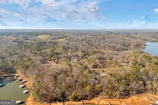 51 Lake Mist Dr, Martin, GA 30557 - Photo 46