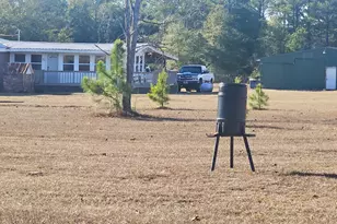 831 Ga Hwy 90 E, Rupert, GA 31081 - Photo 2