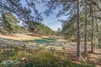 0 Warbler Lane #LOT 59, Monticello, GA 31064 - Photo 14