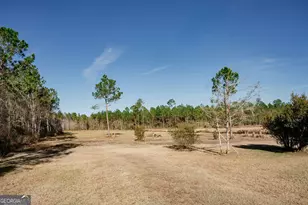 321 Mae Ln, Baxley, GA 31513 - Photo 8