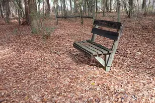 124 Redwood Dr, Folkston, GA 31537 - Photo 6