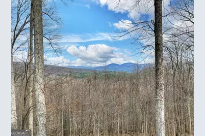 260 Observation Lane, Blue Ridge, GA 30513 - Photo 2