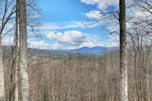 260 Observation Ln, Blue Ridge, GA 30513 - Photo 2