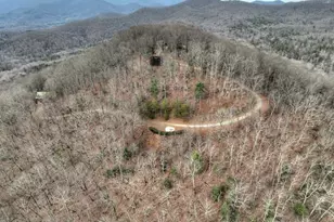 260 Observation Ln, Blue Ridge, GA 30513 - Photo 88