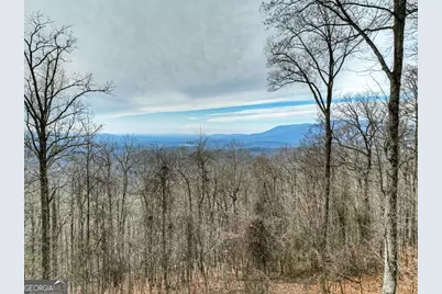 260 Observation Lane, Blue Ridge, GA 30513 - Photo 84
