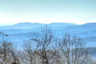 260 Observation Ln, Blue Ridge, GA 30513 - Photo 8