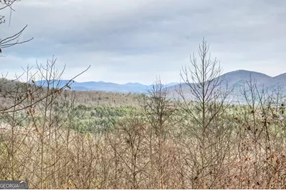 260 Observation Lane, Blue Ridge, GA 30513 - Photo 22
