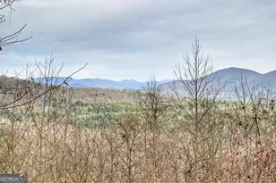 260 Observation Ln, Blue Ridge, GA 30513 - Photo 22