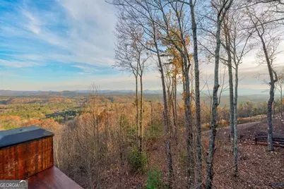 588 Tower Road, Mineral Bluff, GA 30559 - Photo 38