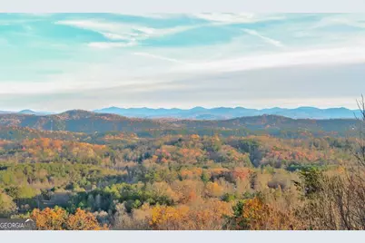 588 Tower Road, Mineral Bluff, GA 30559 - Photo 40