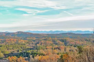 588 Tower Rd, Mineral Bluff, GA 30559 - Photo 40