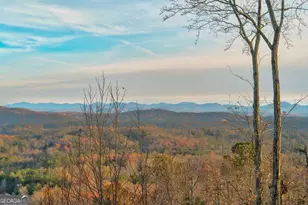 588 Tower Rd, Mineral Bluff, GA 30559 - Photo 42