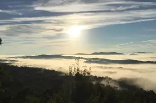 588 Tower Rd, Mineral Bluff, GA 30559 - Photo 74