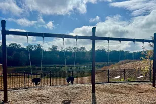 358 Jarrett St, Fairburn, GA 30213 - Photo 8