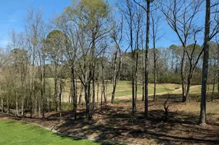 355 Golf View Dr, Cohutta, GA 30710 - Photo 50