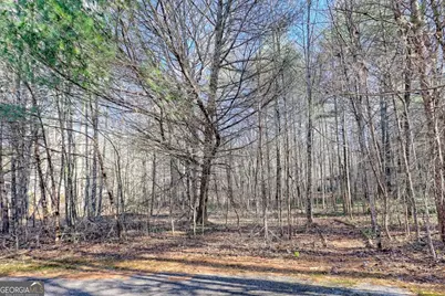 110 Souther Springs Drive, Blairsville, GA 30512 - Photo 64