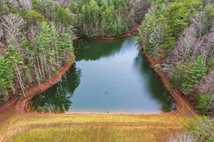 1220 Walnut Ridge, Ellijay, GA 30536 - Photo 50