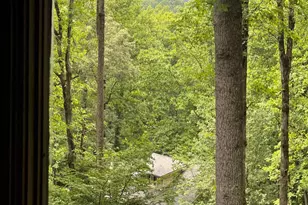 192 Brookwood Dr, Blairsville, GA 30512 - Photo 76