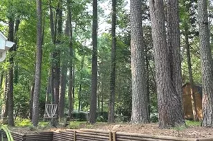 102 Whisper Trce, Peachtree City, GA 30269 - Photo 12