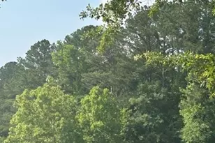 102 Whisper Trce, Peachtree City, GA 30269 - Photo 74