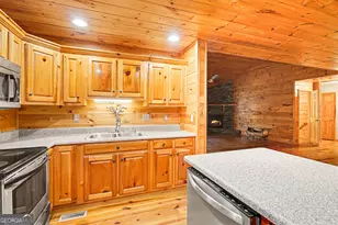 29 Agora Ln, Ellijay, GA 30540 - Photo 16