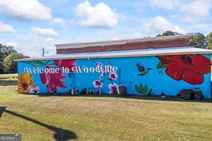 1091 E Peachtree Ave, Woodville, GA 30669 - Photo 70