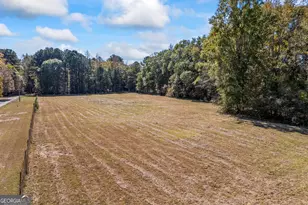 1091 E Peachtree Ave, Woodville, GA 30669 - Photo 90